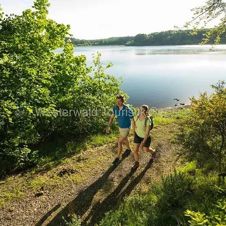 Casita - Sterneferienhaus Mit Garten, Sauna Und Wallbox Semesterbostad *